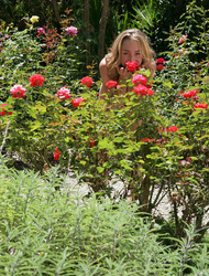 Krista Fun by Little Mutt