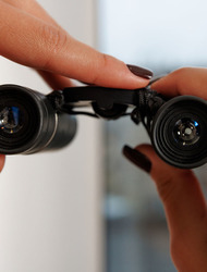 Jadilica in Cheeky View