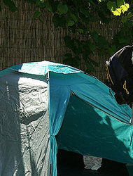 Mina In Tented Camp